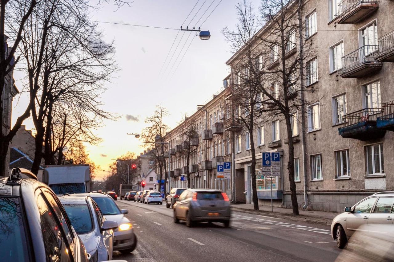 Cozy Naugarduko Apartments Close To Vilnius Old Town Екстер'єр фото